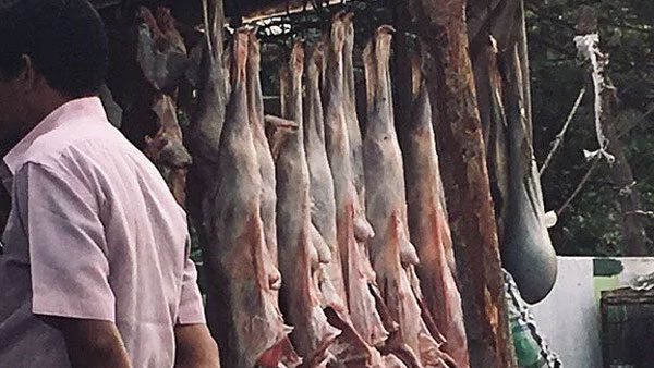 హైదరాబాద్‌లో భారీగా పెరిగిన చికెన్ ధరలు