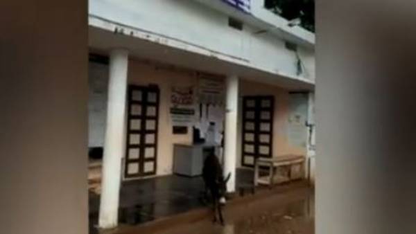 ప్రజల సమస్యలను గాలికొదిలేసి గాడిదలు కాసే పనిలో అధికారులని సెటైర్లు