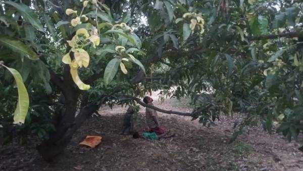 అనారోగ్యానికి గురైన భర్త అనారోగ్యానికి గురైన భర్త