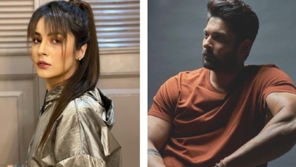 షెహనాజ్‌తో ప్రేమాయణం...