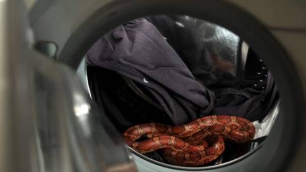 భయం.. భయం... భయం.. భయం...