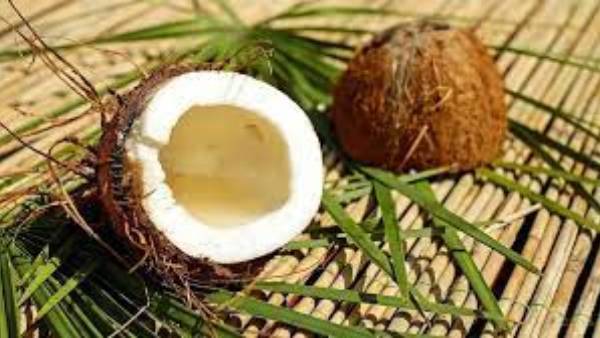 World Coconut day:History, significance and Date, what is the importance of Coconut World Coconut day:History, significance and Date, what is the importance of Coconut