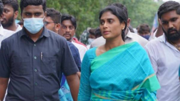  జిల్లాల్లో విస్తృతంగా..