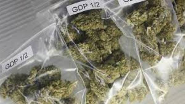 విశాఖ ఏజెన్సీ నుండే గంజాయి స్మగ్లింగ్ జరుగుతున్నట్టు గుర్తింపు