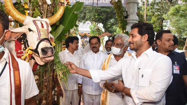 సీఎం జగన్ చేతుల మీదుగా ప్రారంభం