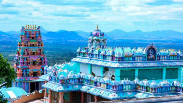  ఉప ముఖ్యమంత్రి, చిత్తూరు ఎంపీ ఎన్. రెడ్డప్ప