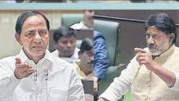 ఒక్క వ్యాపారమే చేసుకోవాలా..? ఒక్క వ్యాపారమే చేసుకోవాలా..?