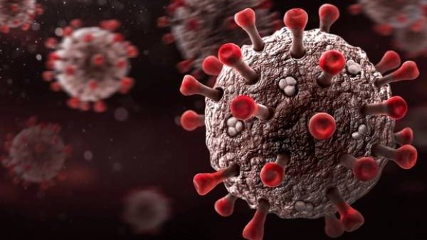 డేంజరస్ డెల్టా