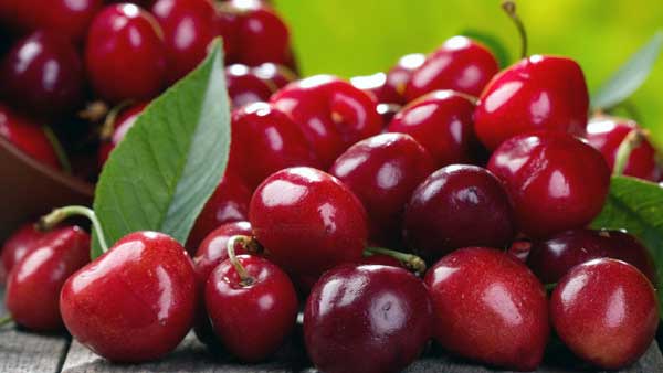 మూత్రనాళ ఇన్ఫెక్షన్ లక్షణాలు ఇలా..