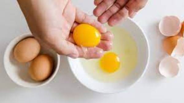 సాల్మోనెల్లా బ్యాక్టీరియా..