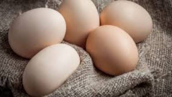 గుడ్డు కాంబినేషన్ ఎలా ఉంటుంది?