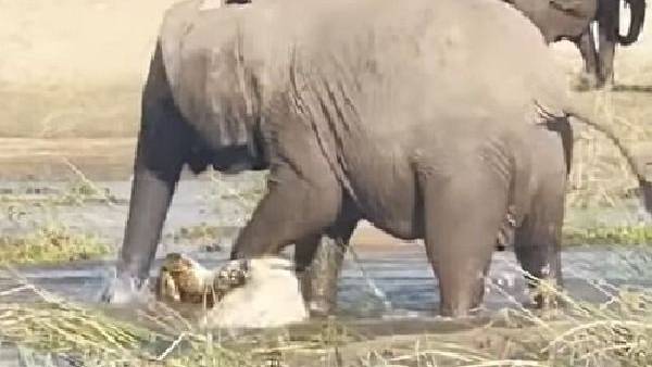 రివర్స్ అయ్యింది