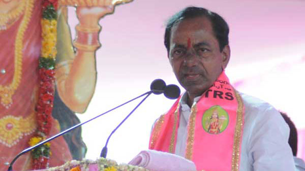 బలమైన శక్తిగా ఎదిగిన టీఆర్ఎస్ .. కేసీఆర్ వెల్లడి