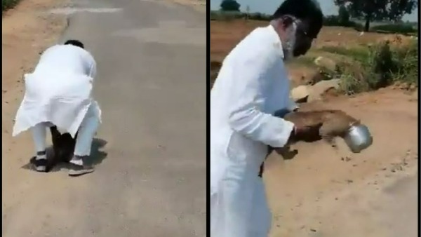 చిరుతపులి పిల్ల చిరుతపులి పిల్ల