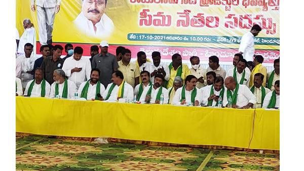 సీమ కోసం ఢిల్లీకెళ్లైనా పోరాడతామంటూ బాలకృష్ణ