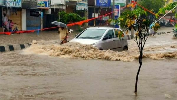 rain effect:two bulls Washed away river, died
