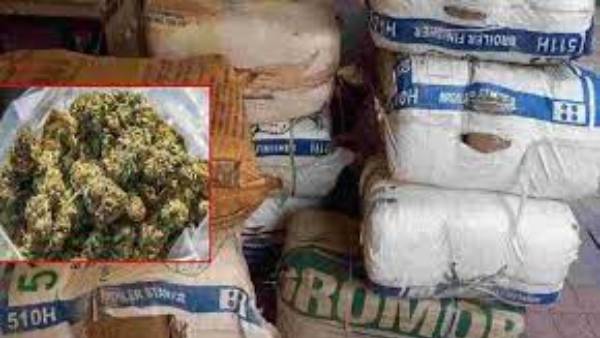 వచ్చే నెలల్లో మరింత జోరుగా గంజాయి దందా .. అడ్డుకట్ట వెయ్యకుంటే కష్టమే !! వచ్చే నెలల్లో మరింత జోరుగా గంజాయి దందా .. అడ్డుకట్ట వెయ్యకుంటే కష్టమే !!