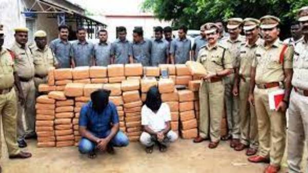 రెండు వేల కిలోల గంజాయి సీజ్ .. పట్టుబడని గంజాయి కేసులెన్నో రెండు వేల కిలోల గంజాయి సీజ్ .. పట్టుబడని గంజాయి కేసులెన్నో