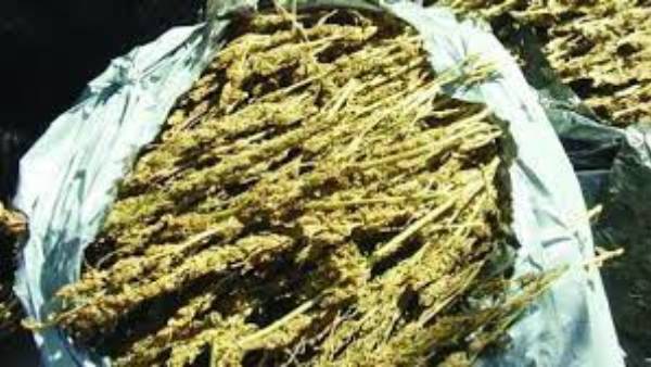 విశాఖ నుండే గంజాయి అక్రమ రవాణా .. స్మగ్లింగ్ కు అడ్డదారులు విశాఖ నుండే గంజాయి అక్రమ రవాణా .. స్మగ్లింగ్ కు అడ్డదారులు