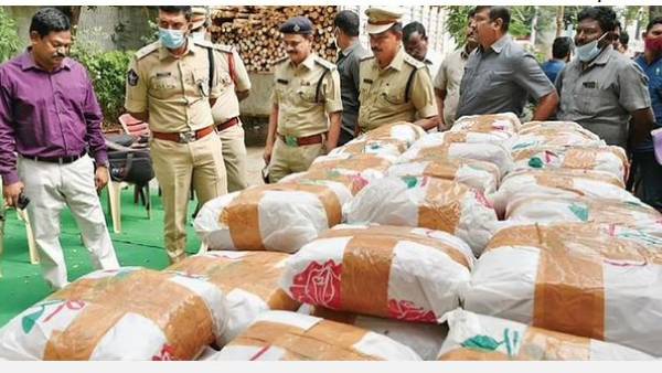 అక్రమ రవాణా అవుతున్న గంజాయిని మాత్రమే పట్టుకుంటే దందా ఆగుతుందా ? అక్రమ రవాణా అవుతున్న గంజాయిని మాత్రమే పట్టుకుంటే దందా ఆగుతుందా ?