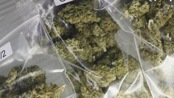 ఏపీ టూ హైదరాబాద్ .. 2 కోట్ల విలువైన గంజాయి సీజ్ ఏపీ టూ హైదరాబాద్ .. 2 కోట్ల విలువైన గంజాయి సీజ్