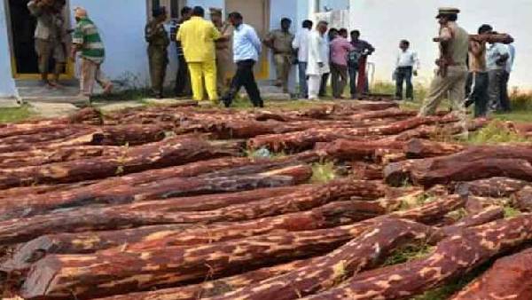  Most Wanted international red sandalwood smuggler Ramanatha Reddy caught by police