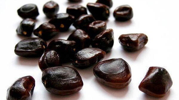 Tamarind Seeds: IIT Roorkee Professors have shown that a protein found and antiviral properties