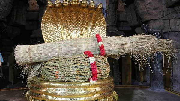 స్వామివారికి విష్ణ దర్బ