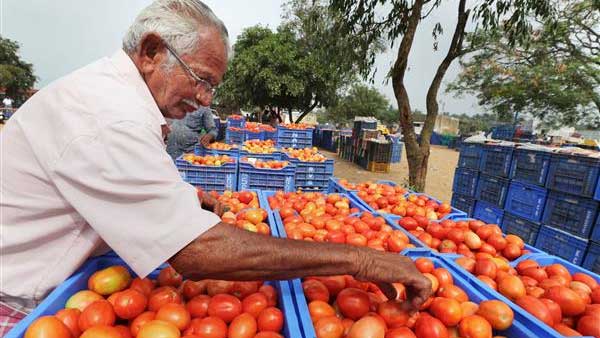 హైదరాబాద్ లో కిలో టమోట ధర 60 రూపాయల నుండి 70 రూపాయల వరకు హైదరాబాద్ లో కిలో టమోట ధర 60 రూపాయల నుండి 70 రూపాయల వరకు