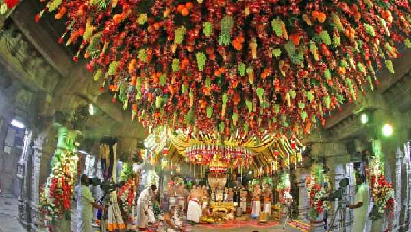  శ్రీ పెద్దజియ్యర్ స్వామీజీ, శ్రీ చిన్నజియ్యర్ స్వామీజీ