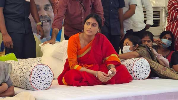 పాదయాత్ర యాక్షన్ కమిటీలో..