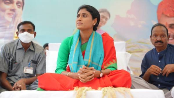 పంట మార్చుకోవడం అంటే బట్టలు మార్చుకోవడం కాదు.. వ్యవసాయ మంత్రికి షర్మిళ చురకలు పంట మార్చుకోవడం అంటే బట్టలు మార్చుకోవడం కాదు.. వ్యవసాయ మంత్రికి షర్మిళ చురకలు