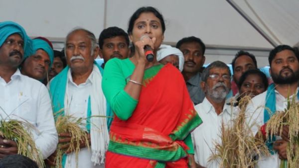  వరి ధాన్యం కేసీఆర్ కొనాలి.. లేకపోతే యుద్దమే నన్న షర్మిళ..