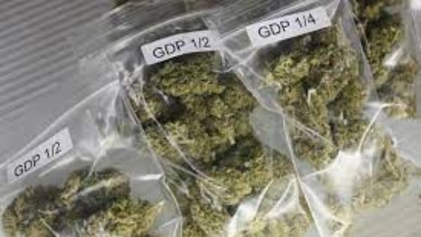  గంజాయి స్మగ్లింగ్ కేసులో దర్యాప్తు ముమ్మరం చేసిన మధ్య ప్రదేశ్ పోలీసులు