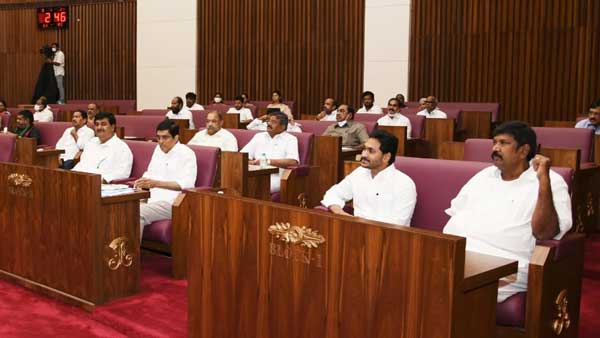 మండలిలో సంపూర్ణ మెజారిటీ..