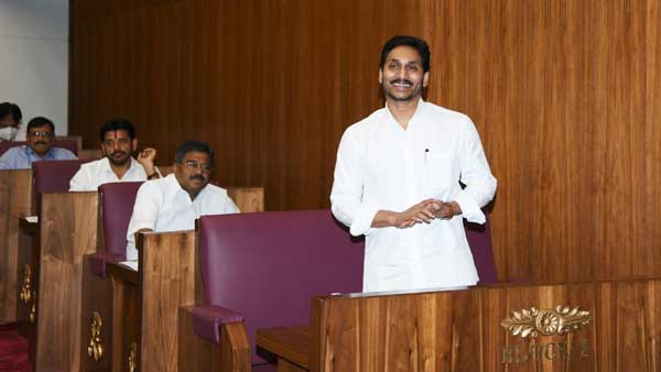 పెద్దలు గర్జించాలి..