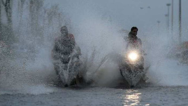 వరికోతల సమయంలో