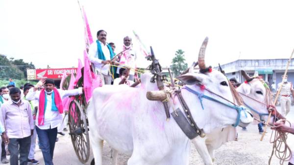 ఉమ్మడి వరంగల్ జిల్లా వ్యాప్తంగా టీఆర్ఎస్ ధర్నాలలో పాల్గొన్న మంత్రి ఎర్రబెల్లి ఉమ్మడి వరంగల్ జిల్లా వ్యాప్తంగా టీఆర్ఎస్ ధర్నాలలో పాల్గొన్న మంత్రి ఎర్రబెల్లి