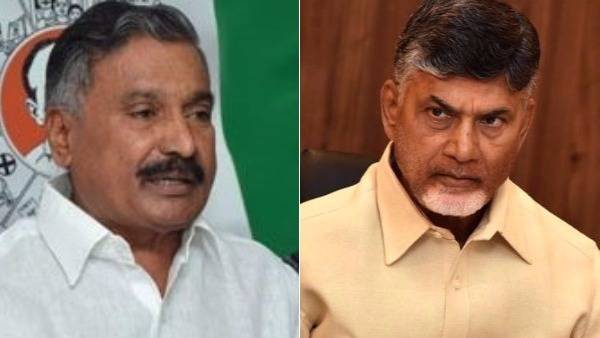స్థానిక ఎన్నికల్లో వైసీపీ గెలుపు