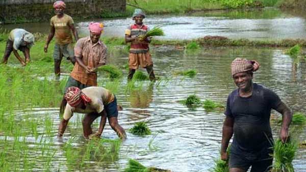 పూర్వ స్థితిలో భూములు..పరిహారం ఇవ్వాలి
