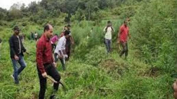 గంజాయి పండిస్తే తప్పేంటి అంటూ నిలదీత