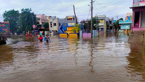 కడప జిల్లాలో భారీ నష్టం కడప జిల్లాలో భారీ నష్టం