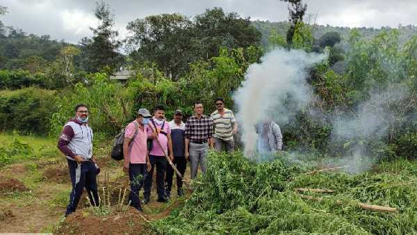 ap polices operation parivartana to eradicate cannabis in visakha agency successful