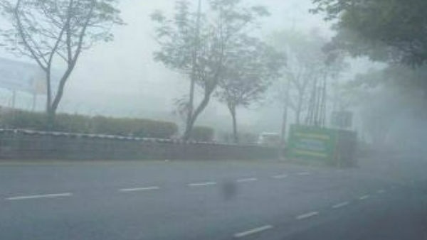 12 డిగ్రీలు 