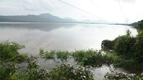 రాయల చెరువుకు లీకేజీలు..