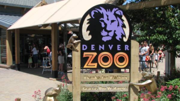 డెన్వర్ జూలో కరోనా కలకలం 