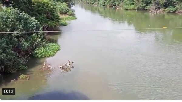  బెజవాడలో చర్యలకు ఆదేశాలు