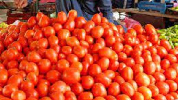 టమాట ధరకు రెక్కలు