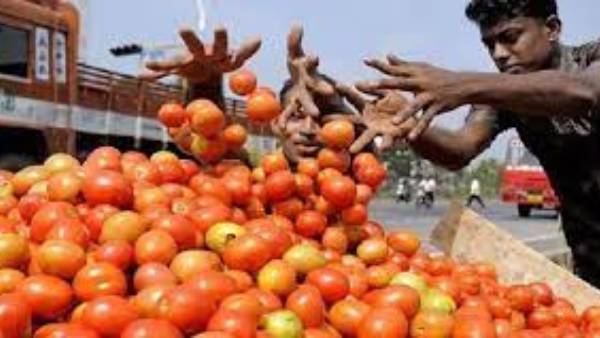 రైతు బజార్లలో టమోటా అమ్మకాలు