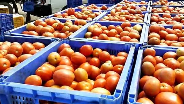 వంటింట్లో 144 సెక్షన్ విధించుకోండి ... ధరల పెరుగుదలపై కేంద్రాన్ని టార్గెట్ చేస్తూ కాంగ్రెస్